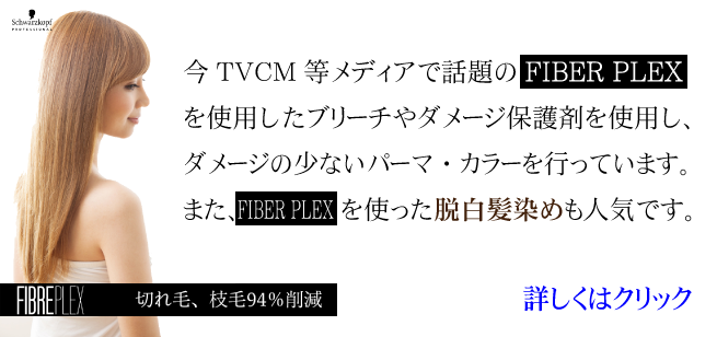 FIBER PLEX